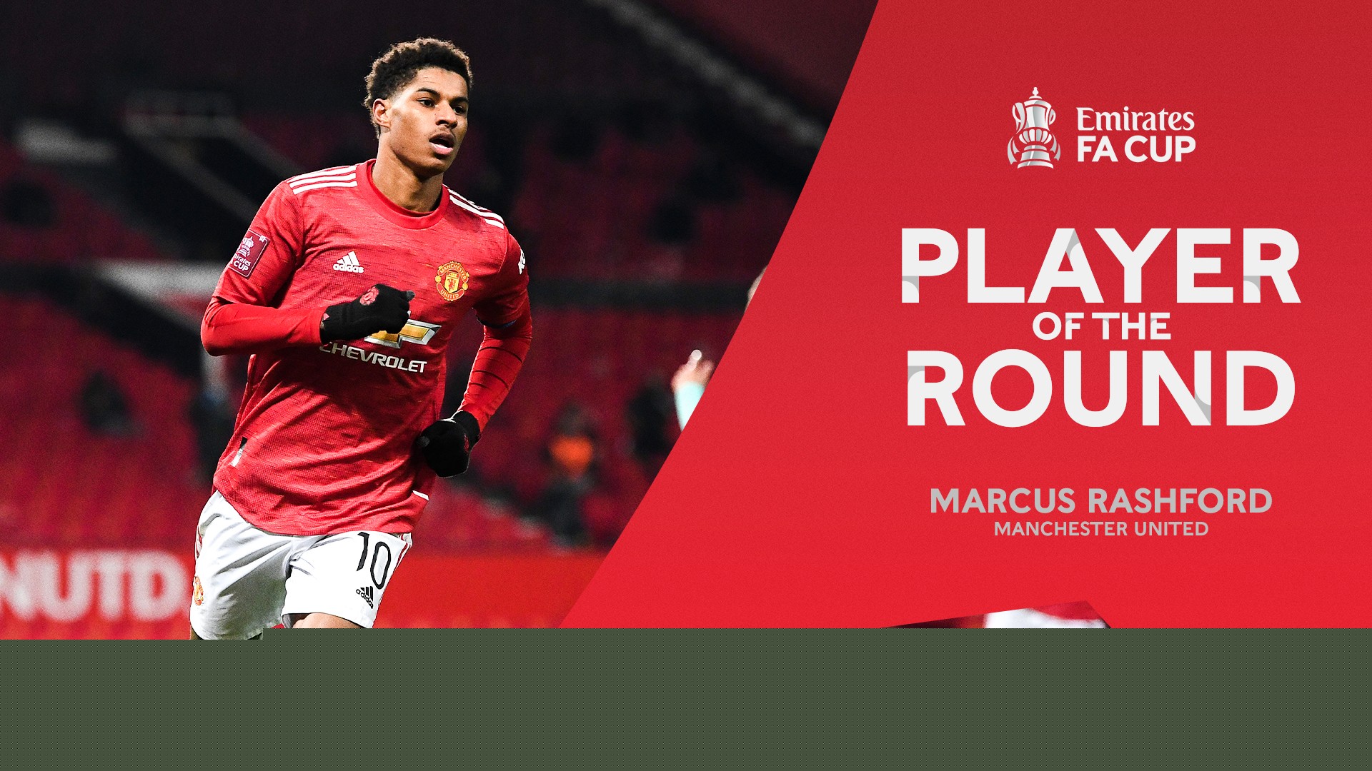 动物油熬炼设备