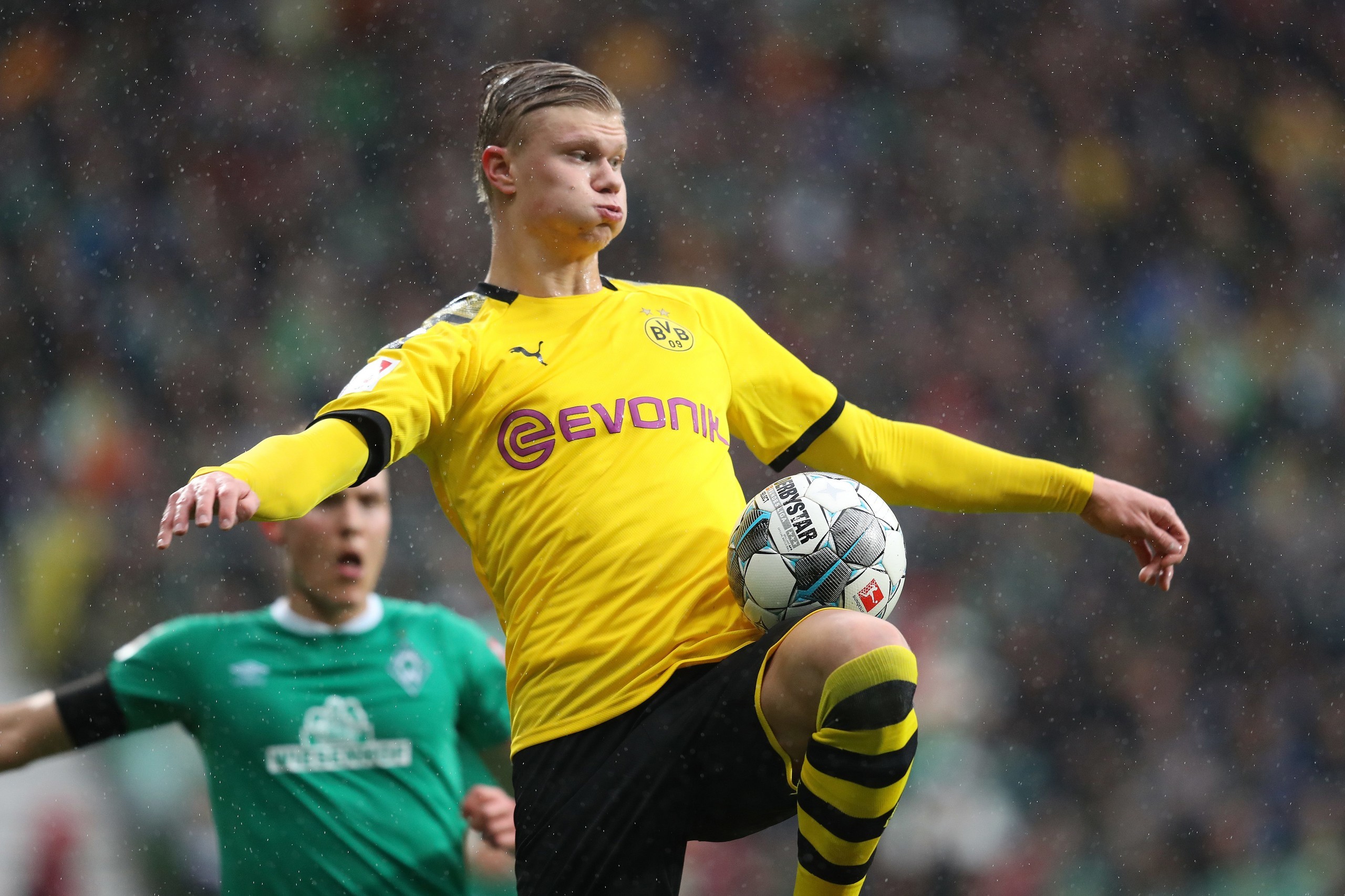 1吨-10吨茶籽油生产线